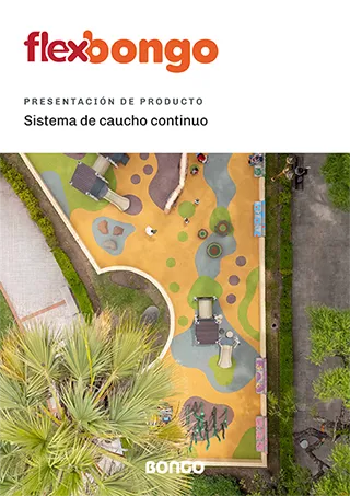 FlexBongo - Presentación